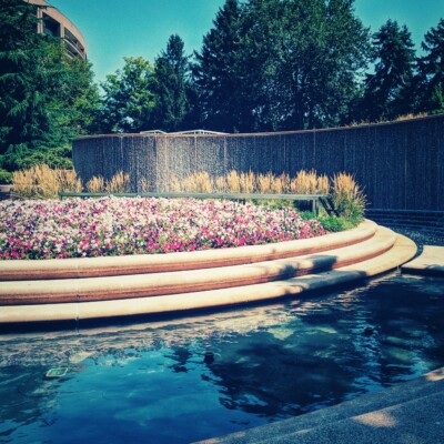 A water feature in Crystal City, Arlington. Crystal City is not as cool as it sounds. A water feature in Crystal City, Arlington.