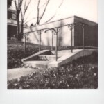 Black and white Polaroid of a short set of stairs